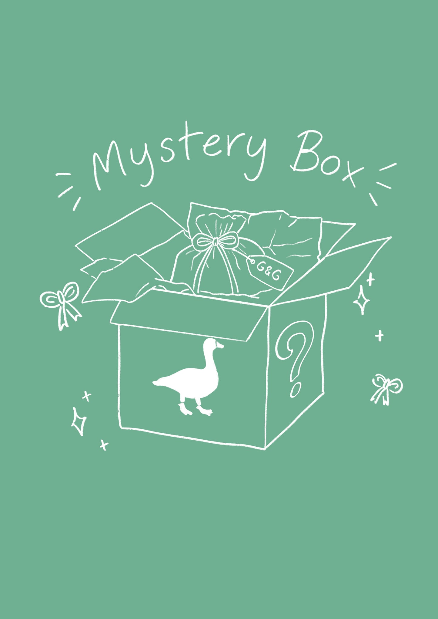 T-Shirt Mystery Box