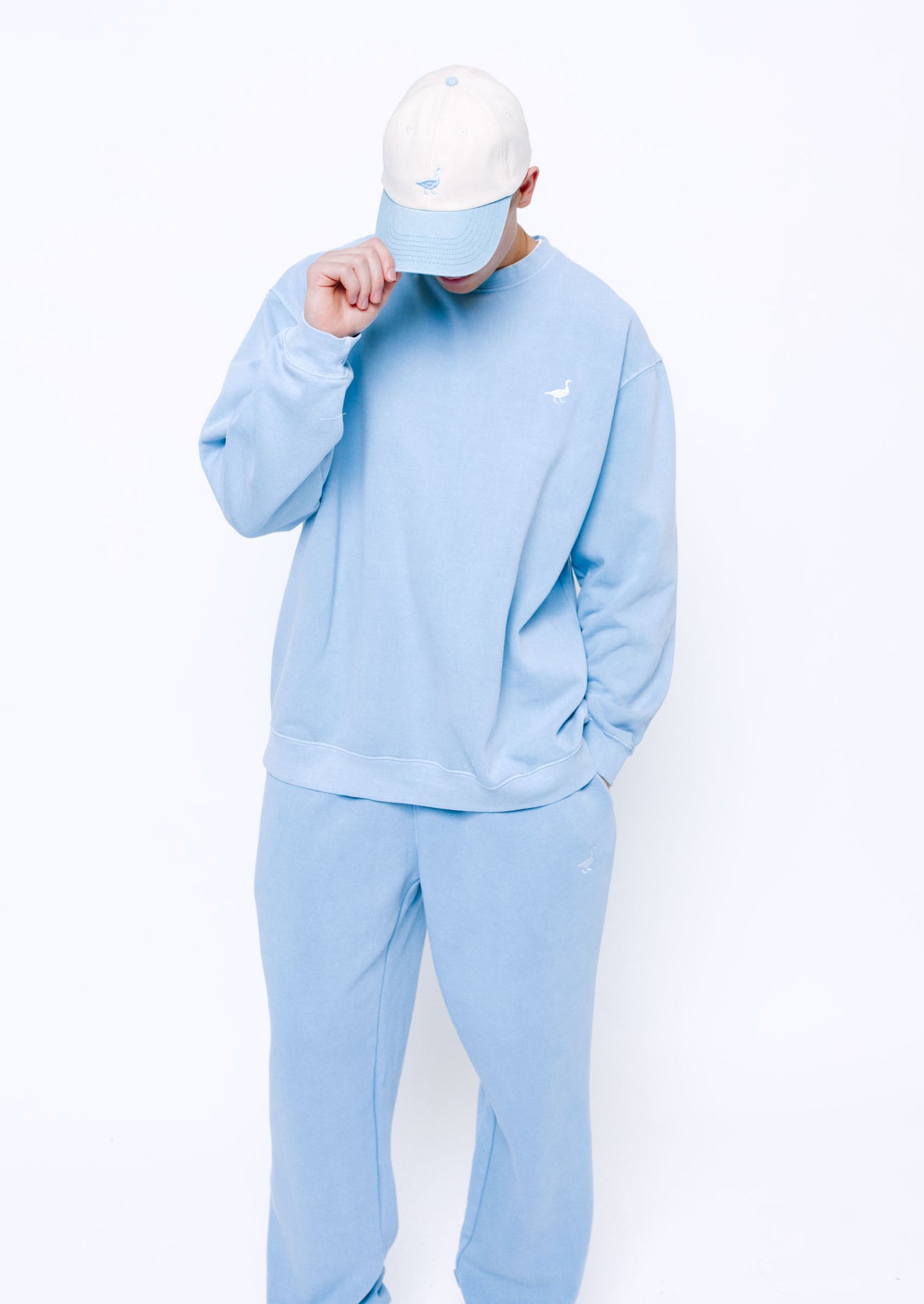 Goose Two-Tone Cap - Vintage Blue/White