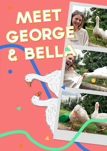 George Gander Meet Bella & George – Goose & Gander