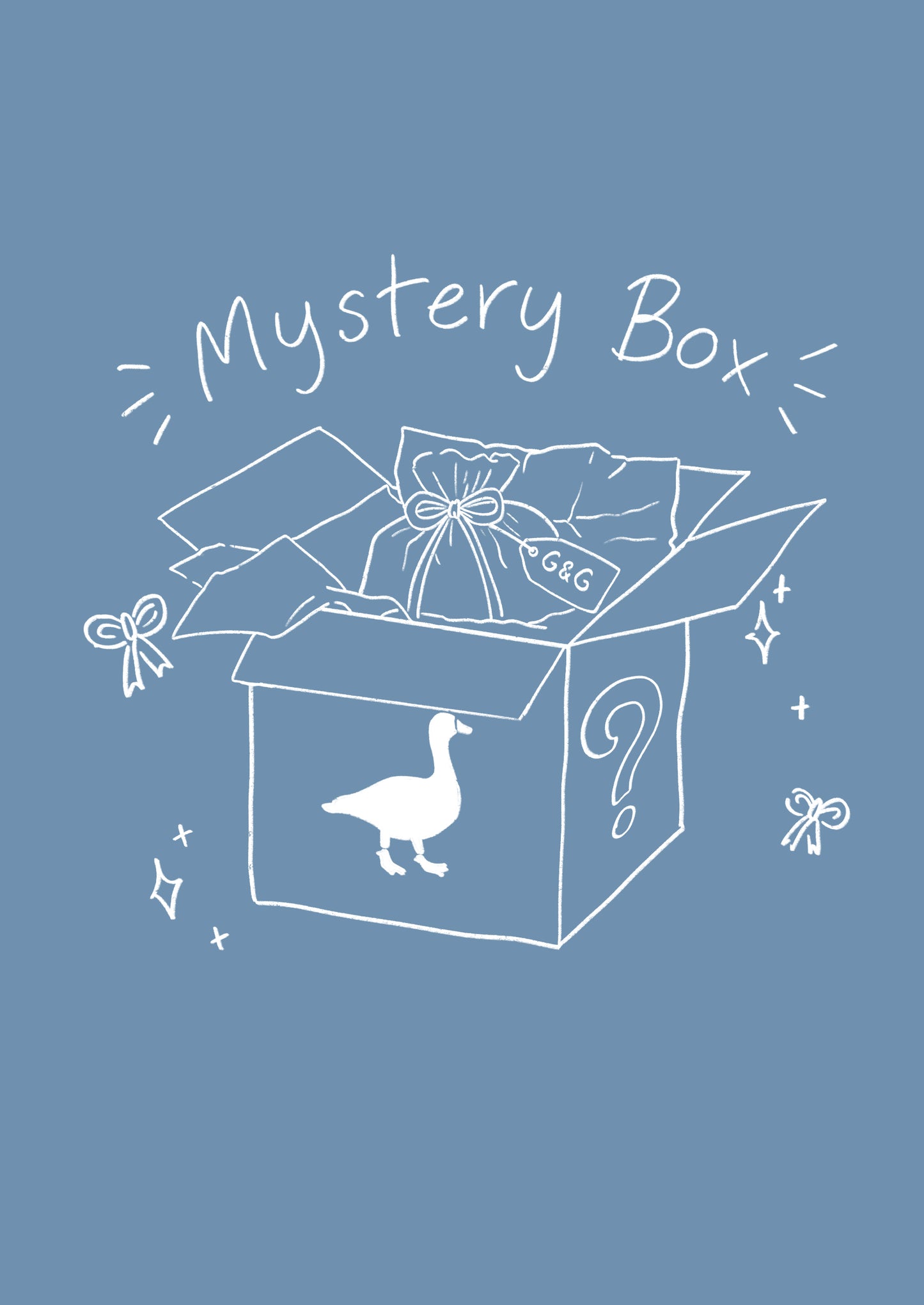 Heavy Mystery Box
