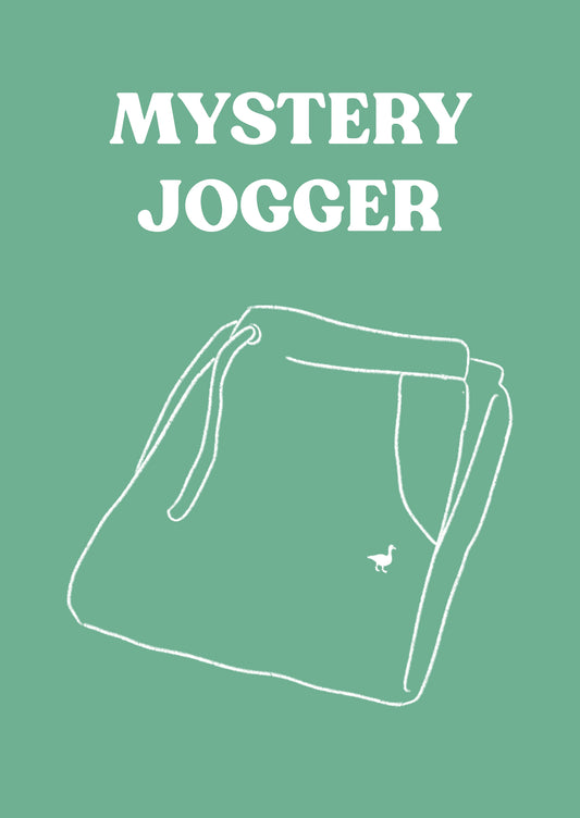 Mystery Jogger