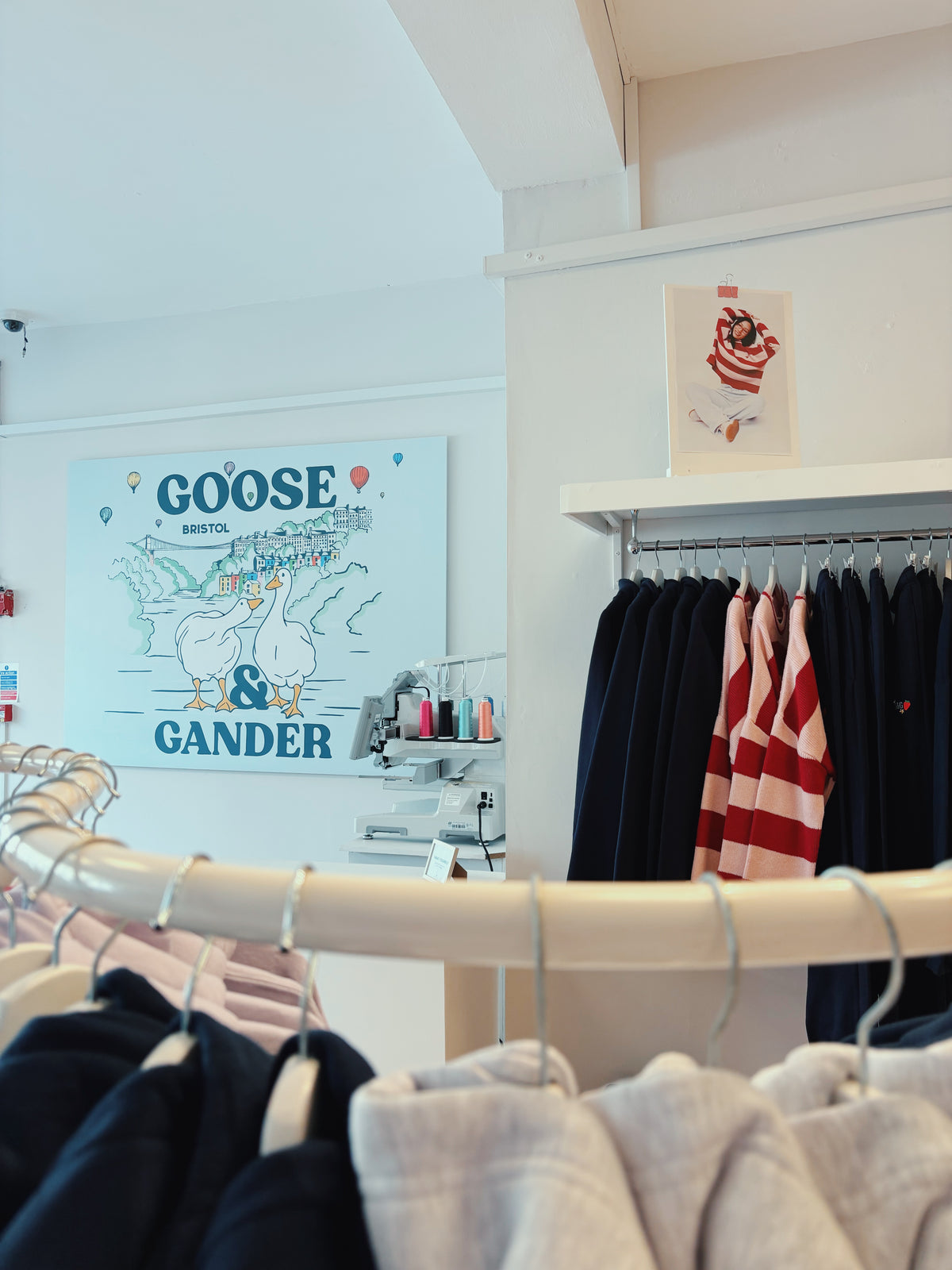 Goose & Gander - Bristol