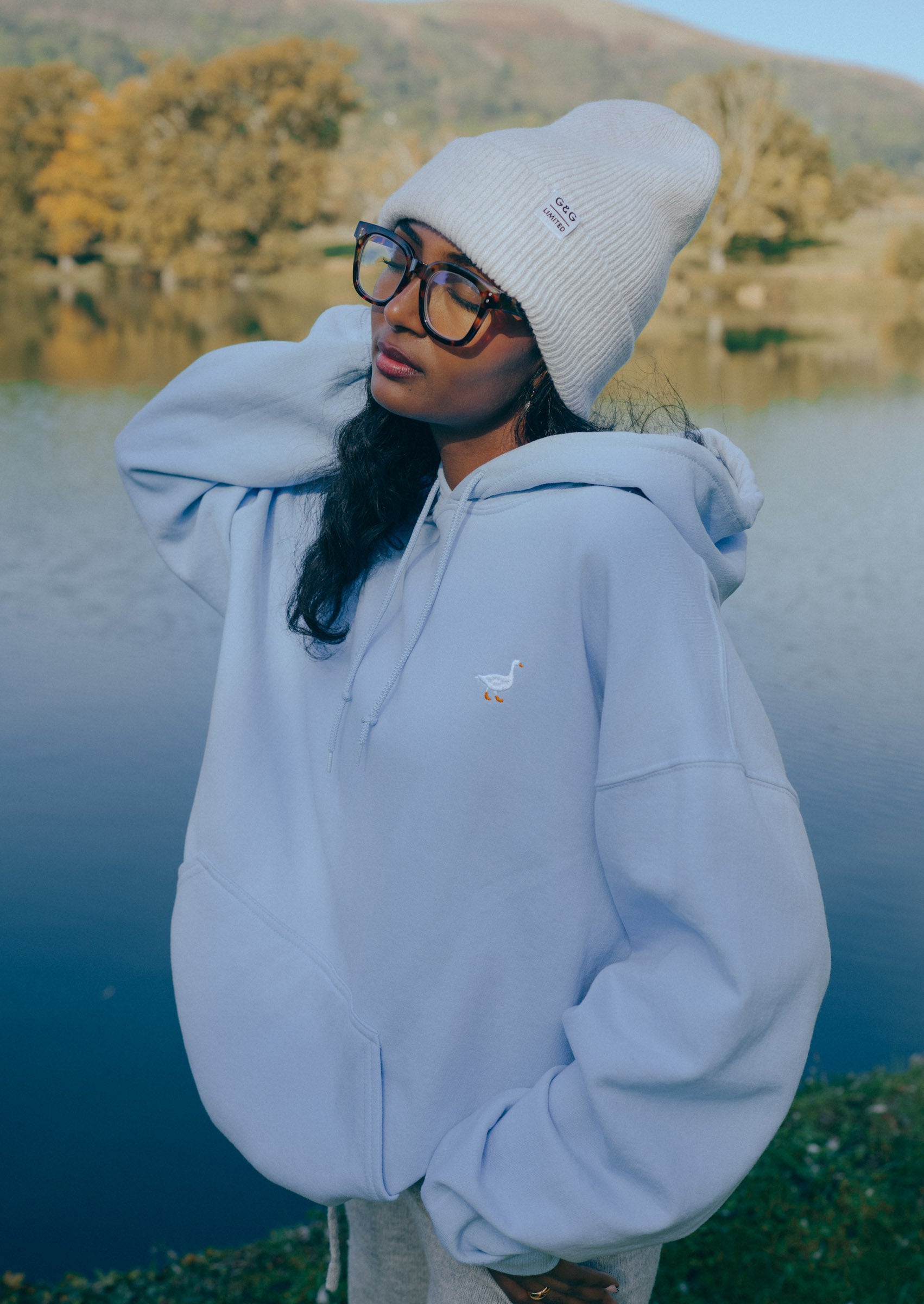 Unisex Baby Blue Goose Hoodie – Goose & Gander