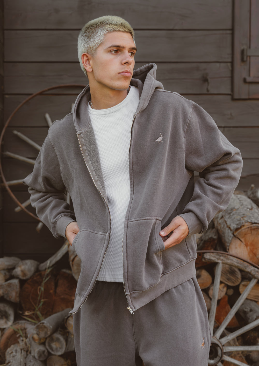 Hoodies