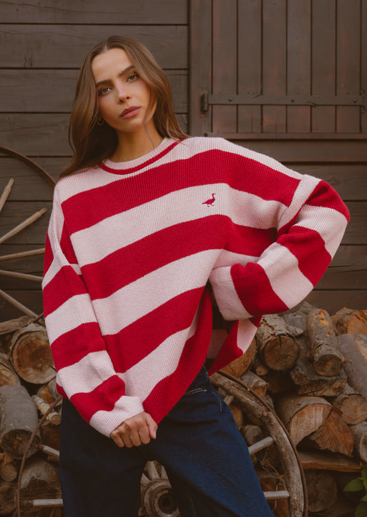 Knitted Striped Goose Sweatshirt