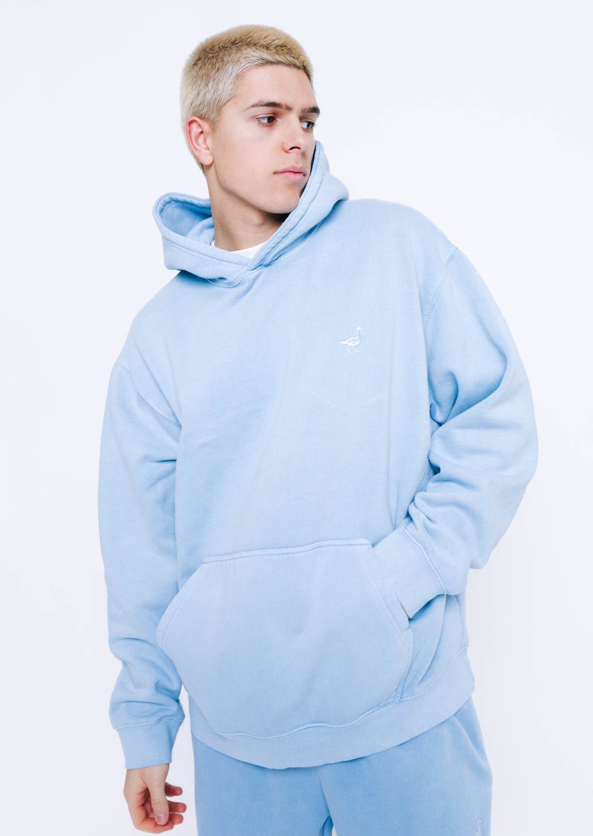 Goose Hoodie - Washed Blue