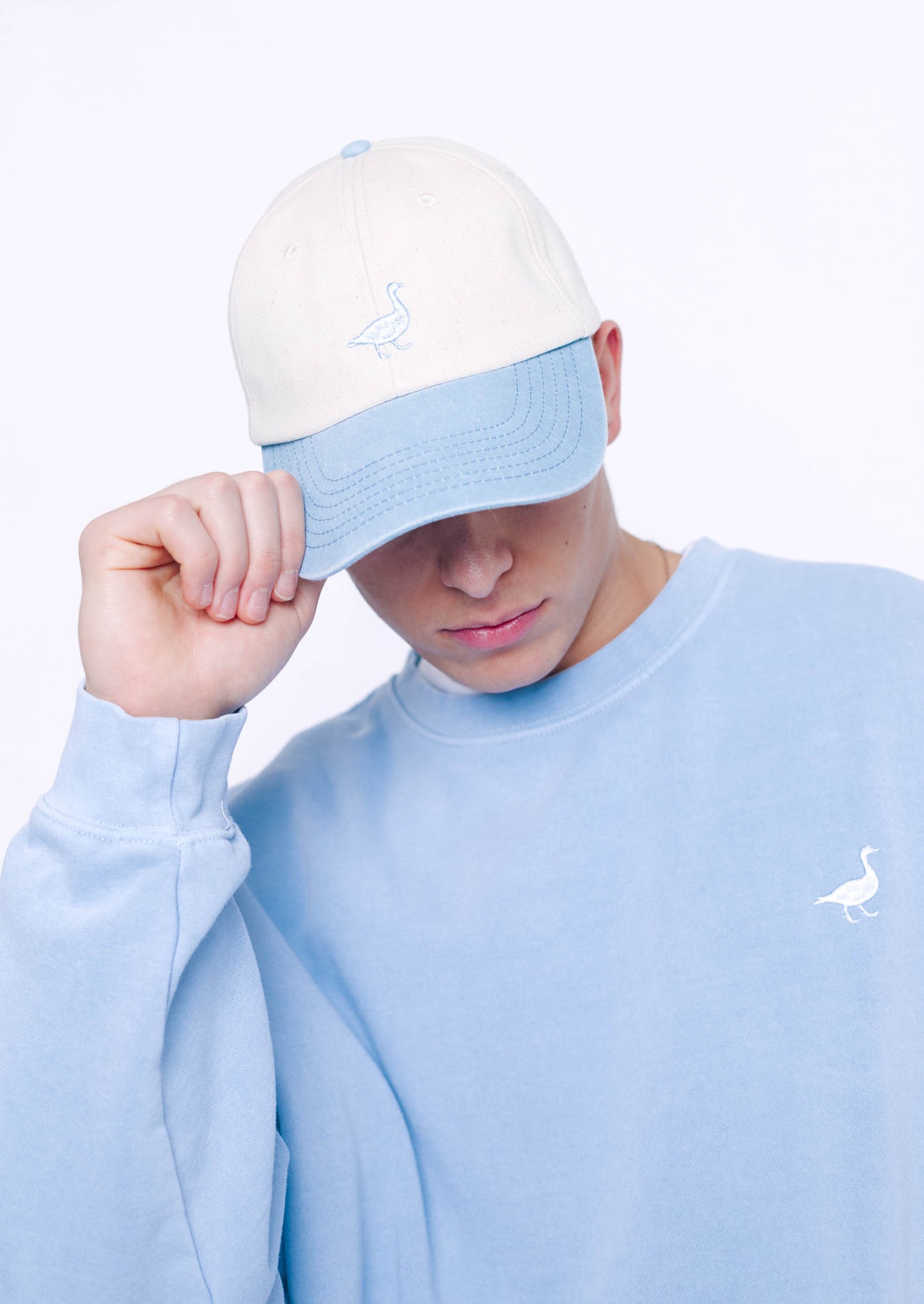 Goose Two-Tone Cap - Vintage Blue/White