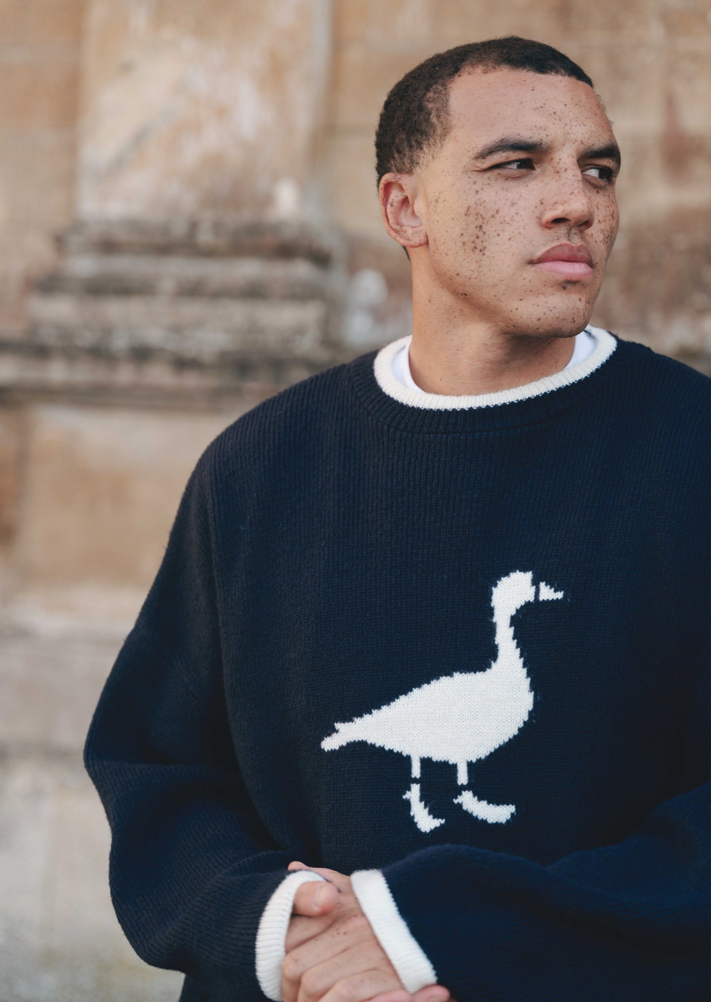 Knitted Goose Jumper - Navy