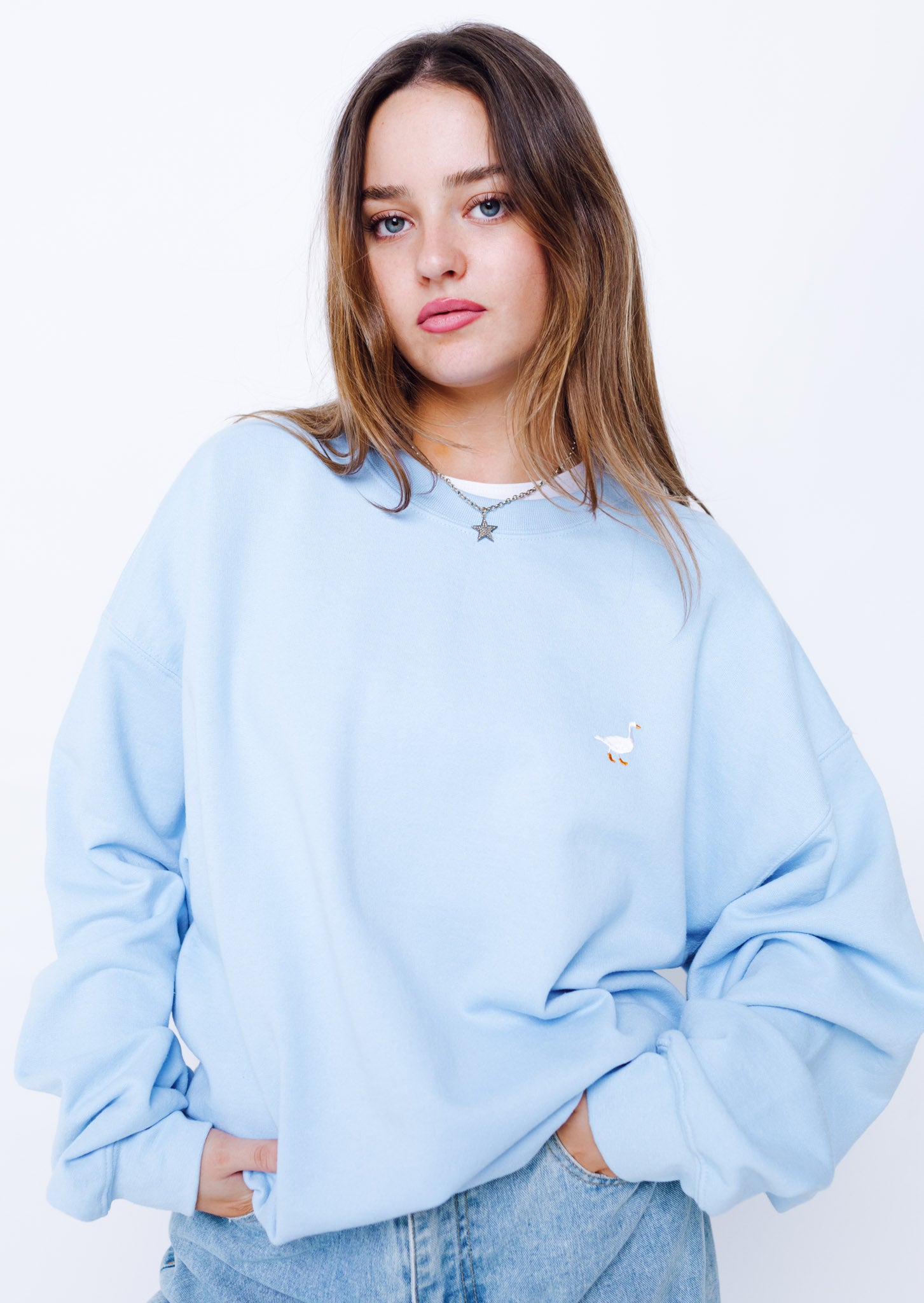 Unisex Baby Blue Goose Sweatshirt – Goose & Gander