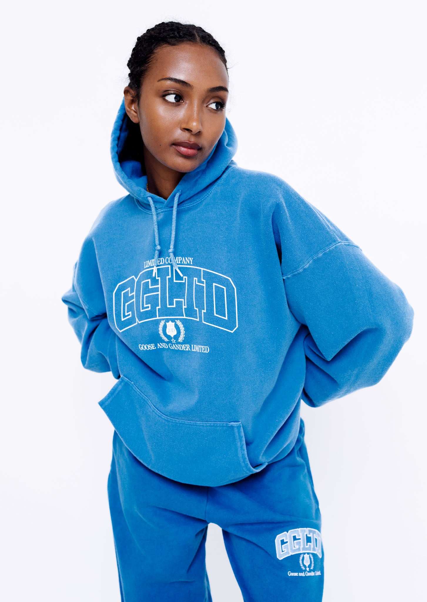 Unisex Varsity Hoodie Washed Royal Blue Goose Gander