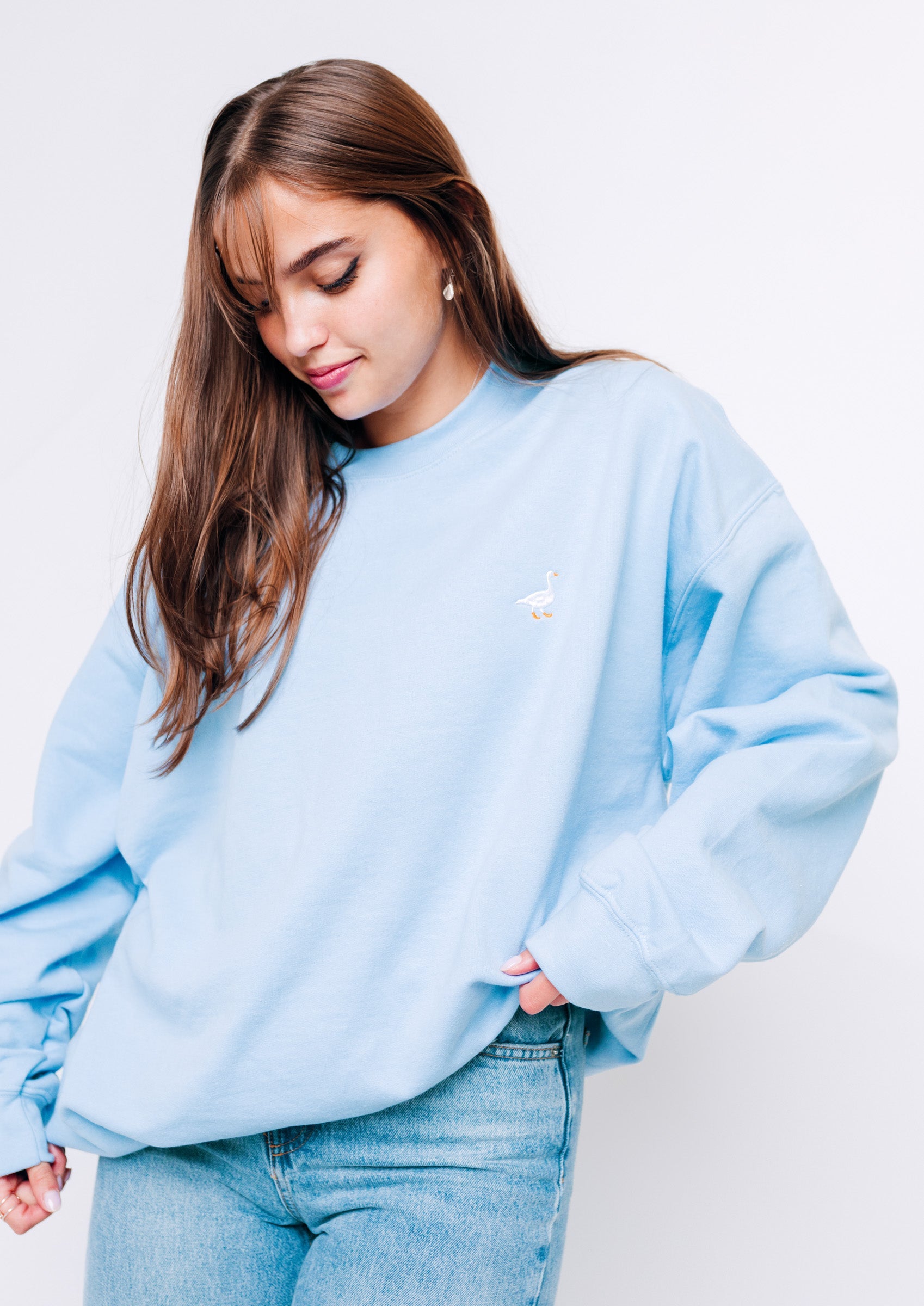 Champion sweatshirt hot sale baby blue