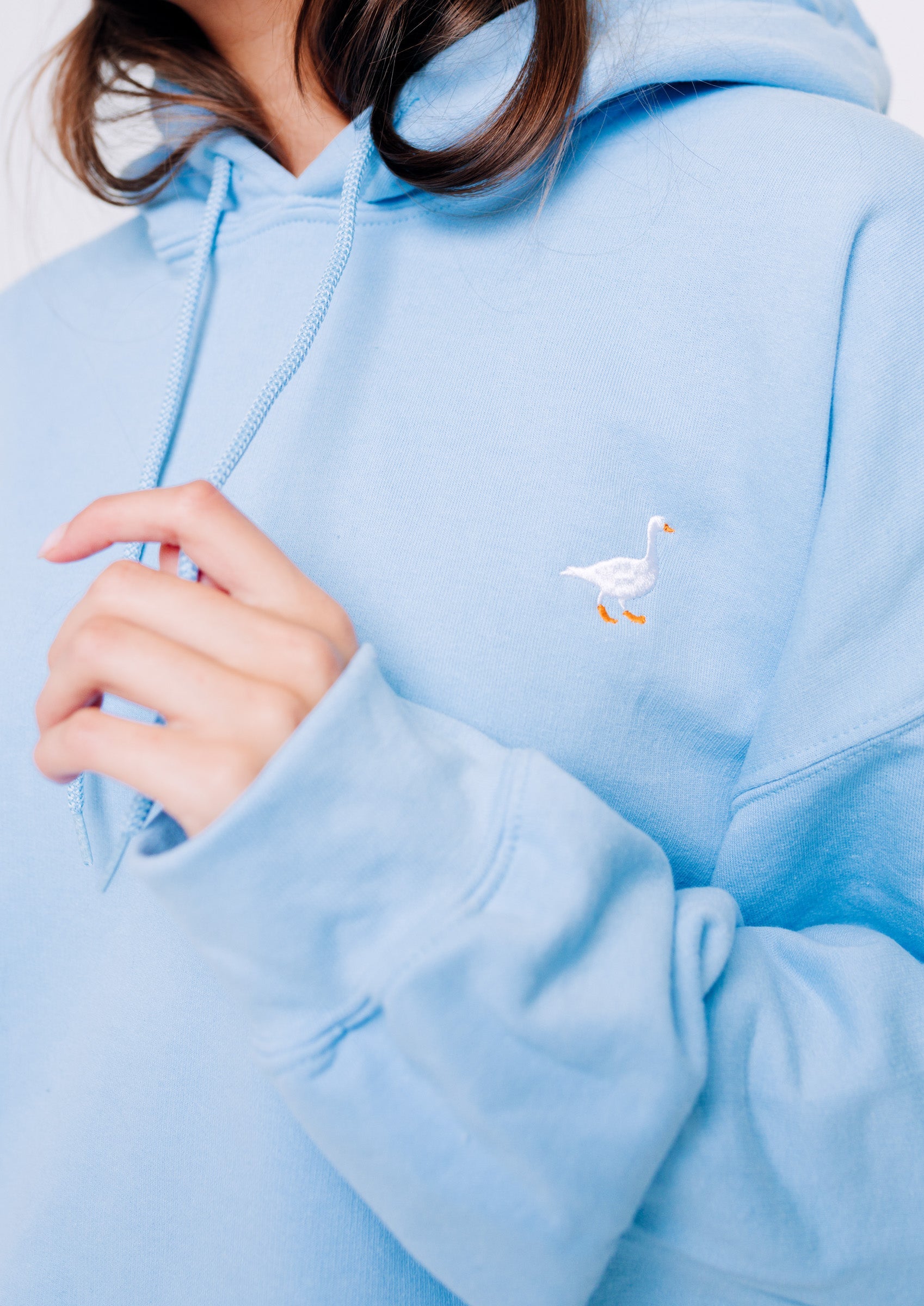 Baby blue champion outlet hoodie womens